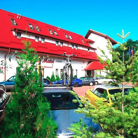 Hotel Pensiunea Casa Matei Berca Exterior foto