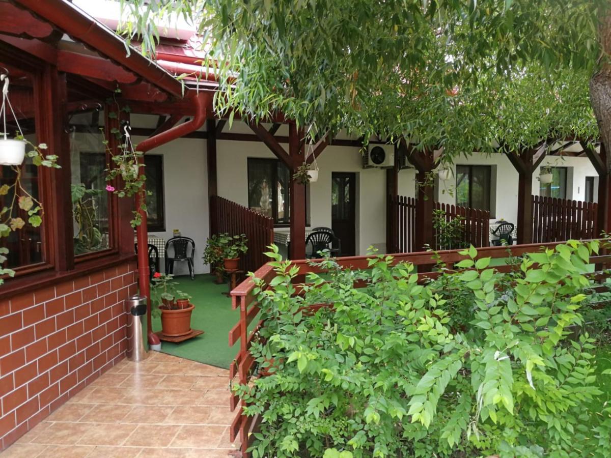 Hotel Pensiunea Casa Matei Berca Exterior foto
